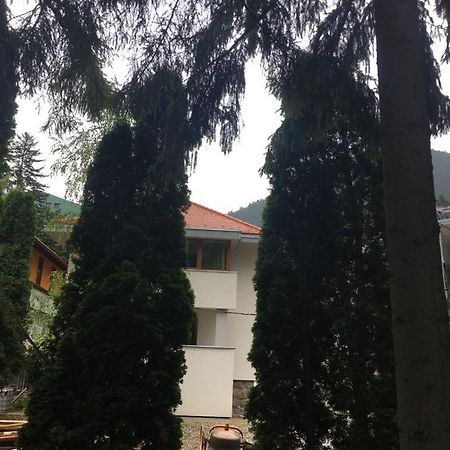Manyi Villa BaileTusnad Buitenkant foto