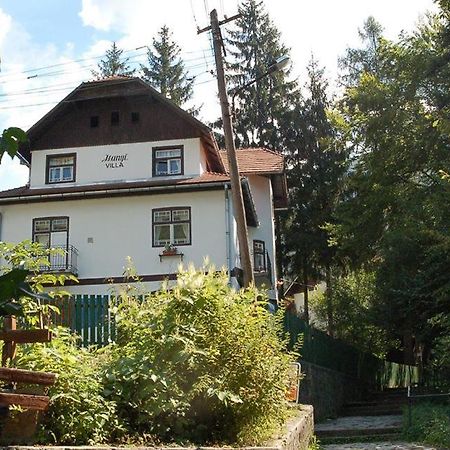 Manyi Villa BaileTusnad Buitenkant foto