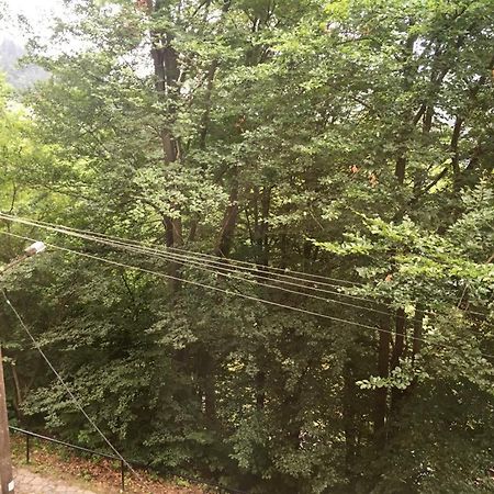 Manyi Villa BaileTusnad Buitenkant foto