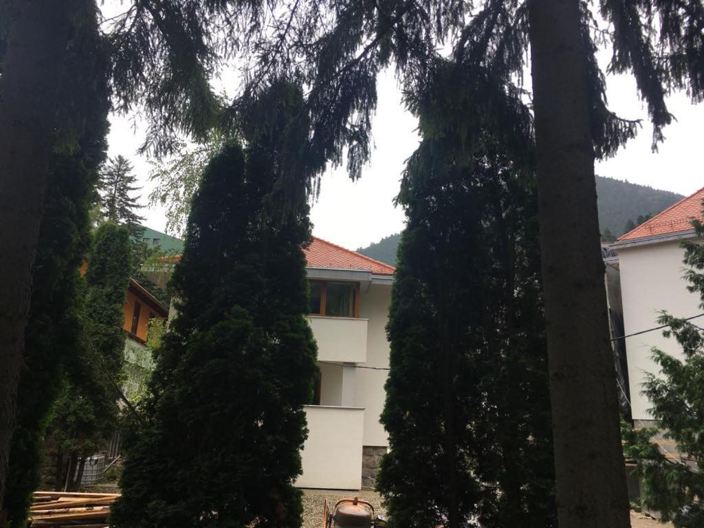 Manyi Villa BaileTusnad Buitenkant foto