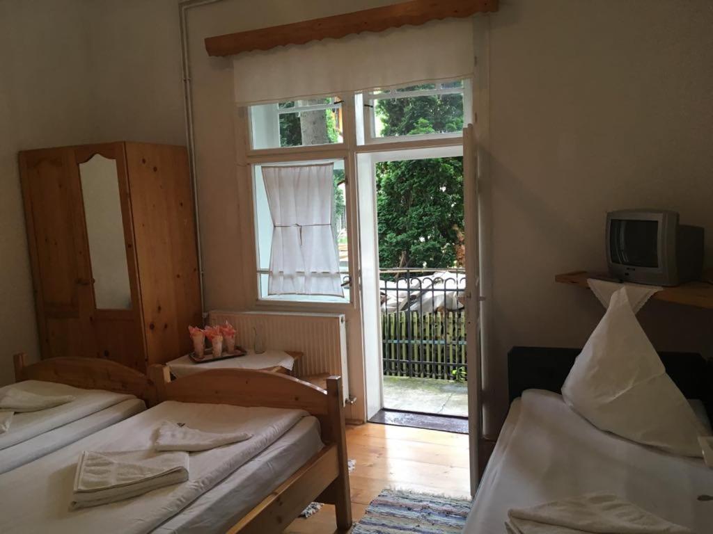 Manyi Villa BaileTusnad Buitenkant foto