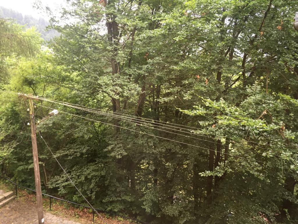 Manyi Villa BaileTusnad Buitenkant foto