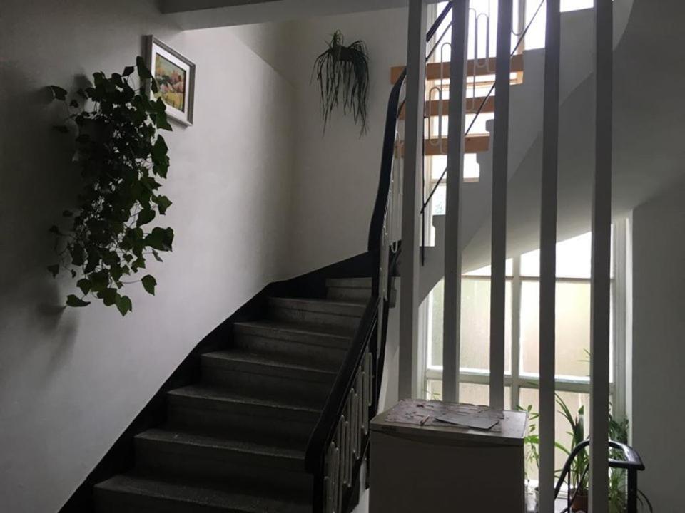 Manyi Villa BaileTusnad Buitenkant foto