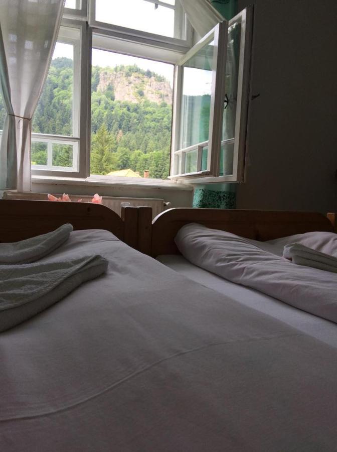 Manyi Villa BaileTusnad Buitenkant foto