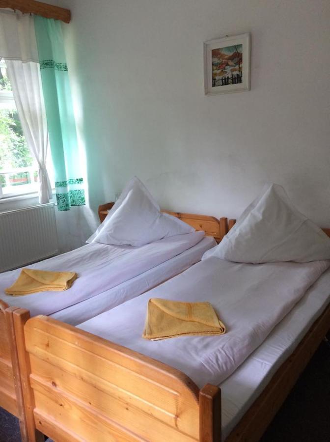 Manyi Villa BaileTusnad Buitenkant foto