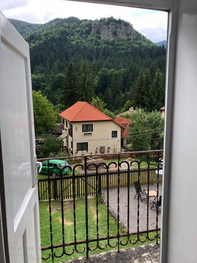 Manyi Villa BaileTusnad Buitenkant foto