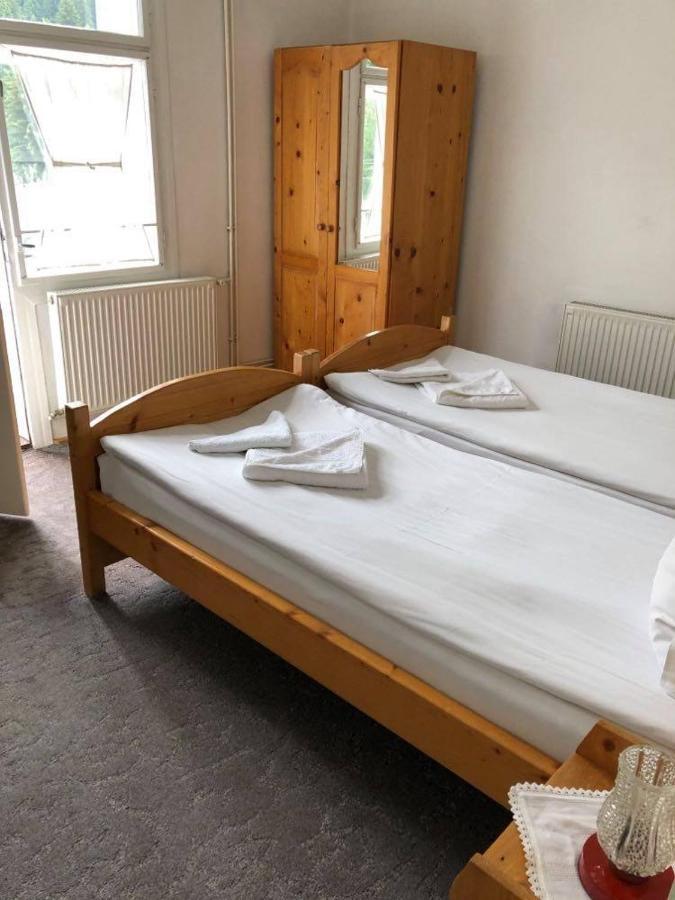 Manyi Villa BaileTusnad Buitenkant foto