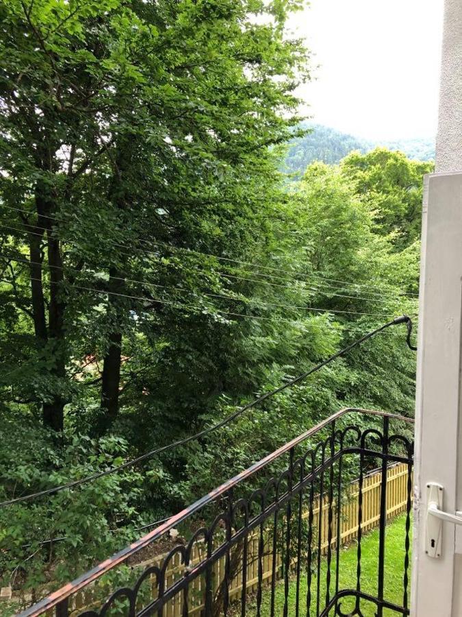 Manyi Villa BaileTusnad Buitenkant foto