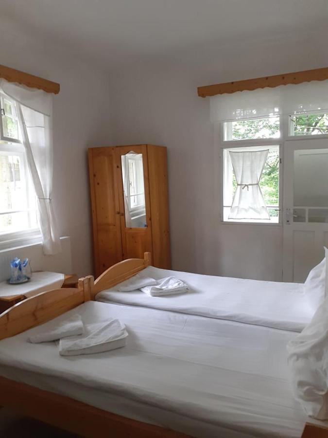 Manyi Villa BaileTusnad Buitenkant foto