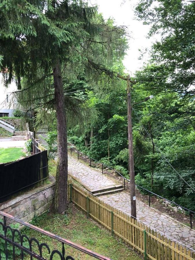Manyi Villa BaileTusnad Buitenkant foto